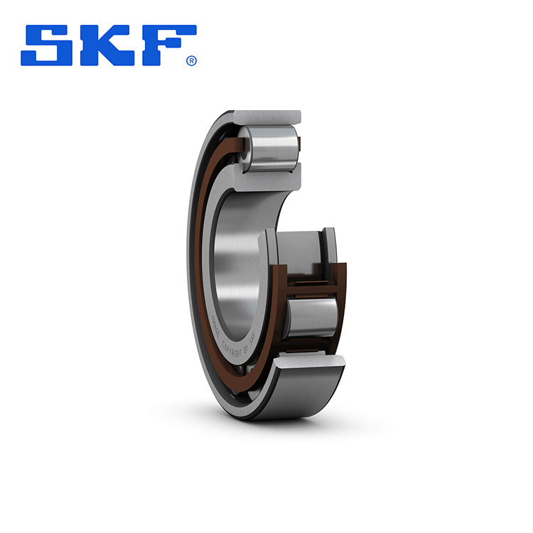 SKF N圓柱滾子軸承ECP